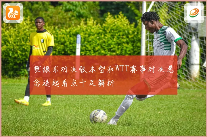樊振东对决张本智和WTT赛事对决悬念迭起看点十足解析